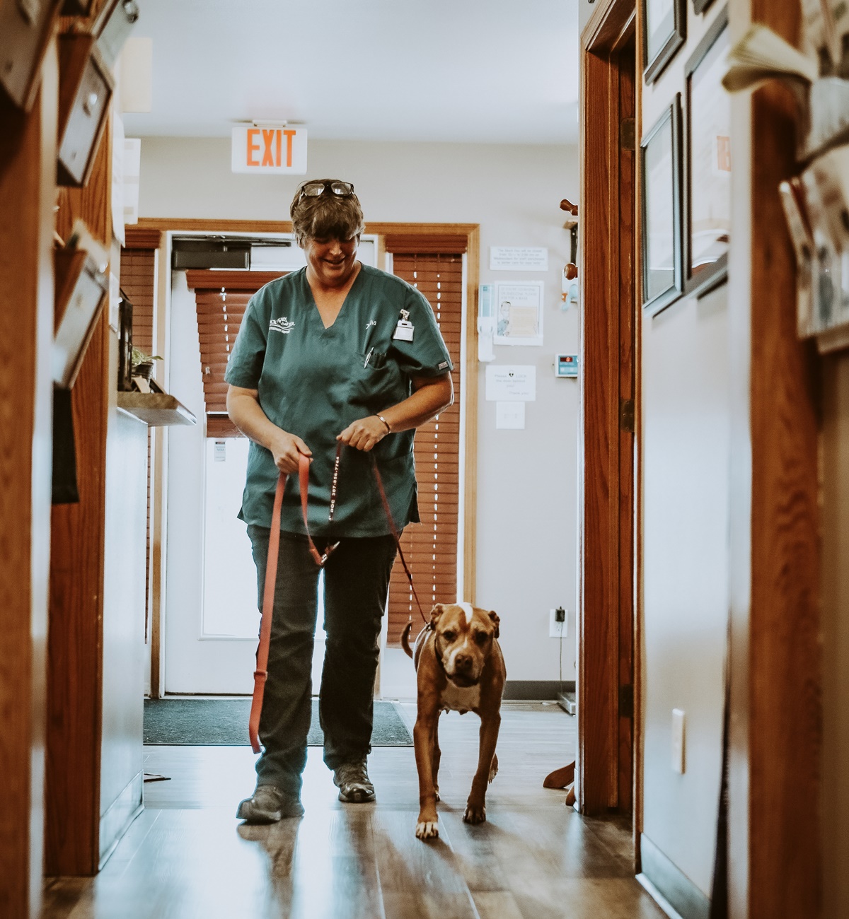 Vet and dog walking in a hallway