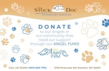 Angel fund donate image