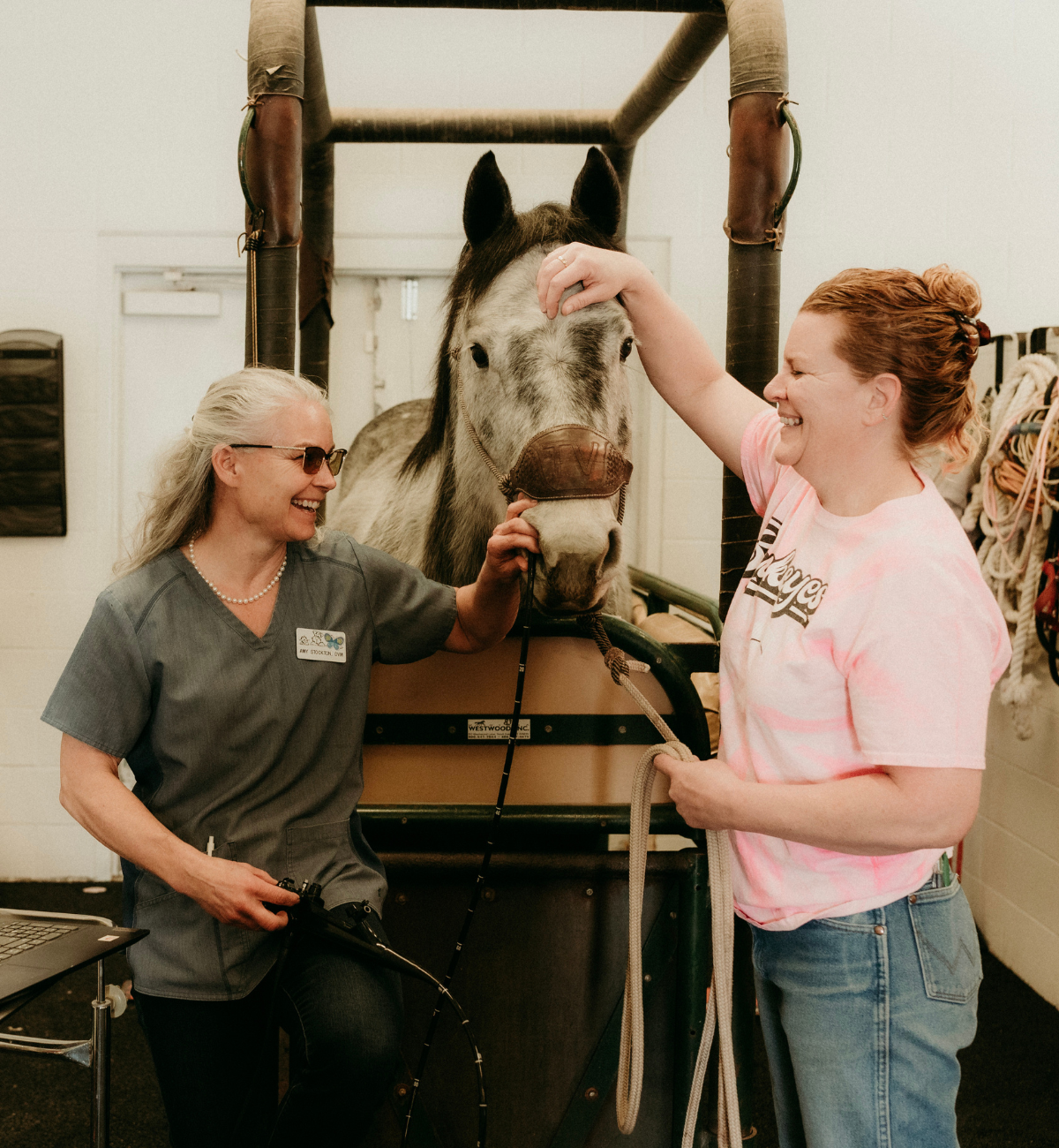 Vet standing next to a horse