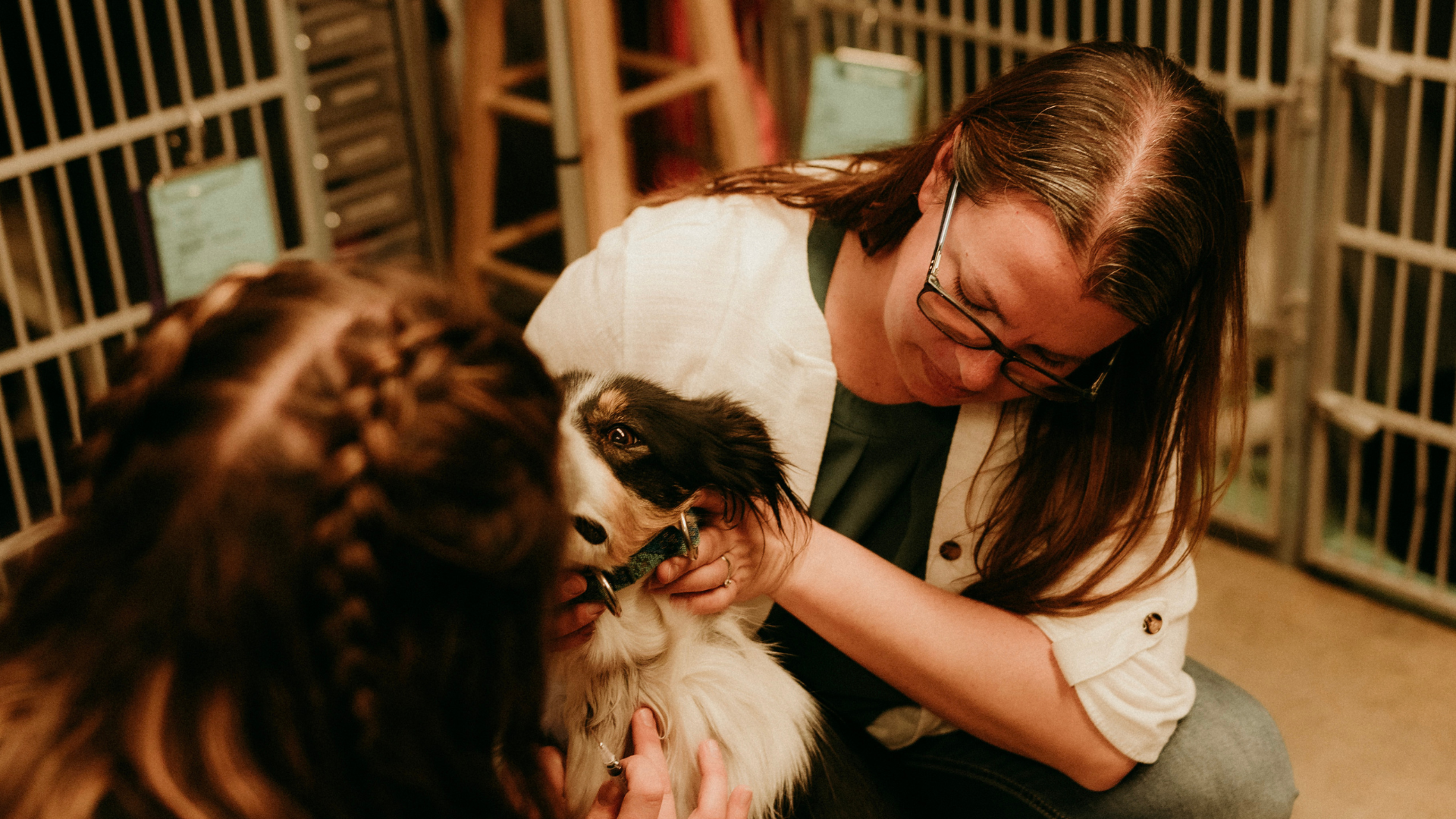 Vet injecting a dog with anesthesia